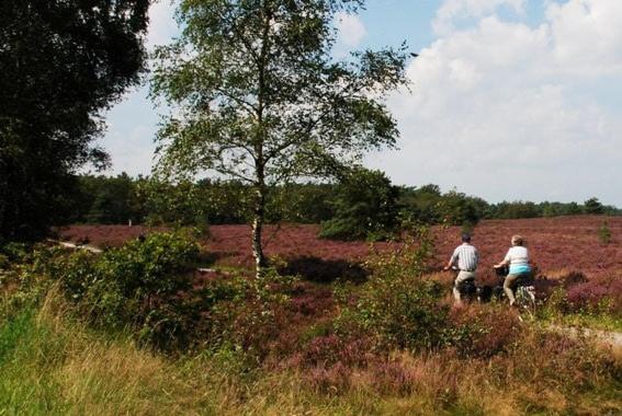 In De Veluwe Met Prive Sanitair Ll54 Putten