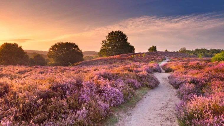 In De Veluwe Met Prive Sanitair Ll54